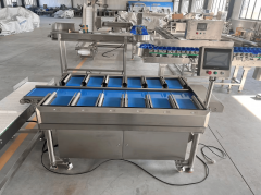 于诸城的12万平方米出产